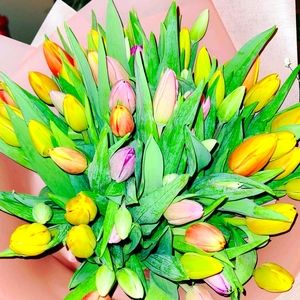 Meet your Posher, Karina